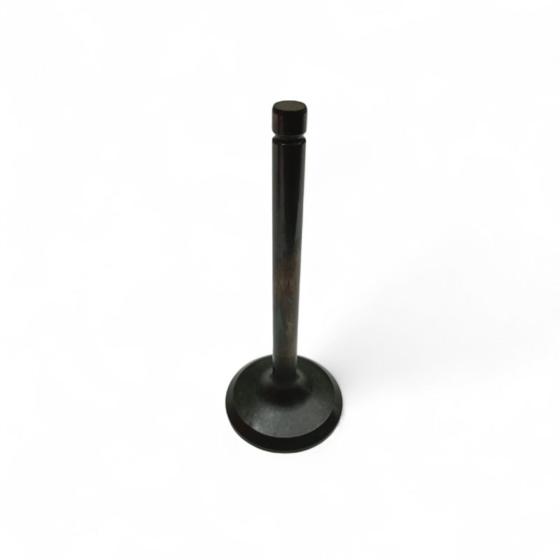 VALVULA DE ADMISION SW4 2000-2004